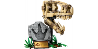 LEGO JURASSIC WORLD Les fossiles de dinosaures : le crâne de T. rex 2024